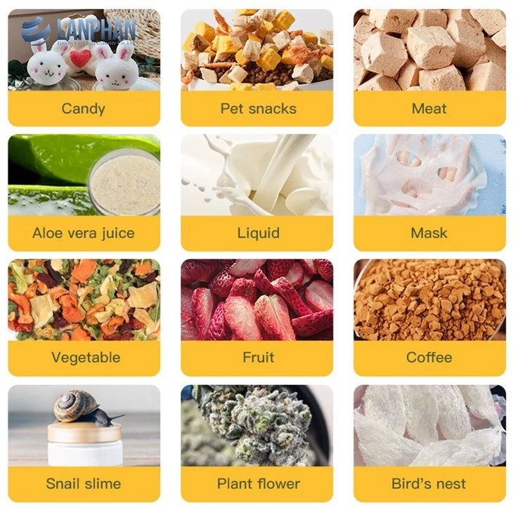 Budget Freeze Dryer suppliers