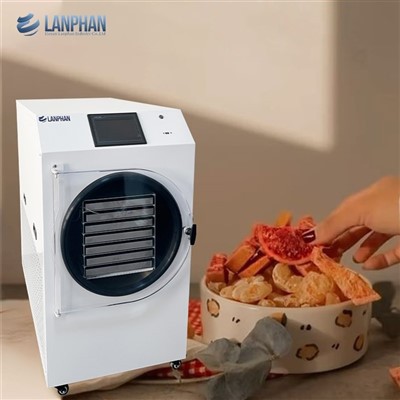 Budget Freeze Dryer