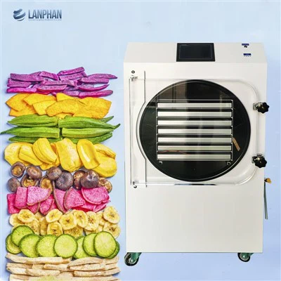 Freeze Right Dryer